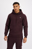 HEX HOODY | Bruin