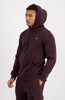 HEX HOODY | Bruin