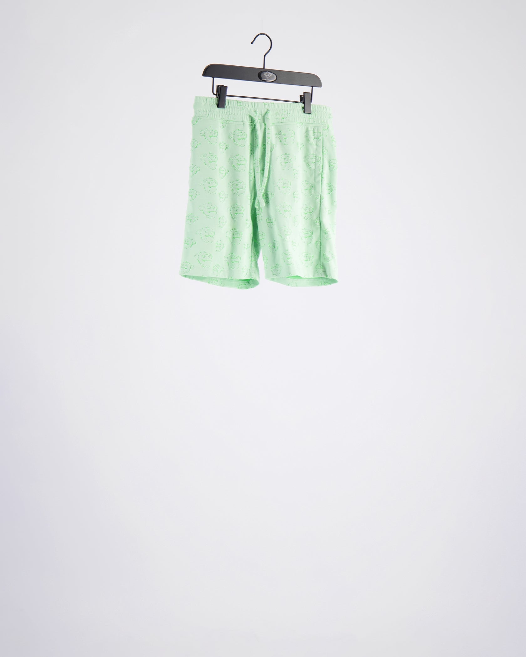 VOORBEELD SHORTS  Mintgroen