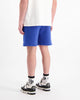 TTD SWEATSHORTS | Blauw